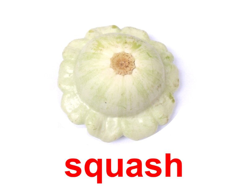 squash